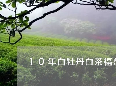 10年白牡丹白茶福鼎/2023120825259