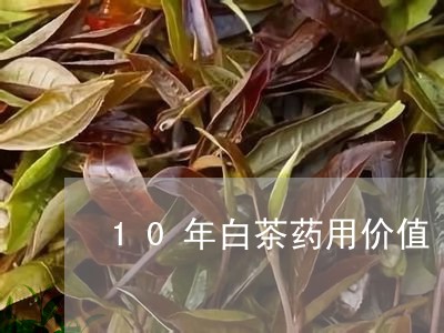 10年白茶药用价值/2023071463815