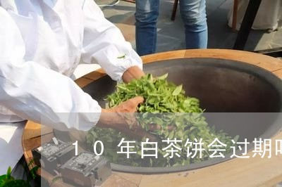 10年白茶饼会过期吗/2023092778303