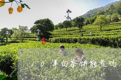 10年白茶饼能煮吗/2023121550493