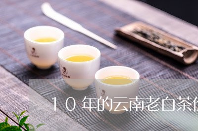 10年的云南老白茶价格/2023080112926