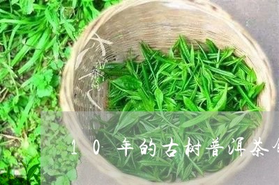 10年的古树普洱茶饼/2023092952927