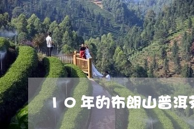 10年的布朗山普洱茶/2023062348381