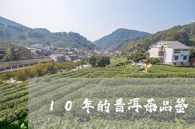 10年的普洱茶品鉴/2023120558362