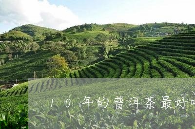 10年的普洱茶最好喝/2023062106382