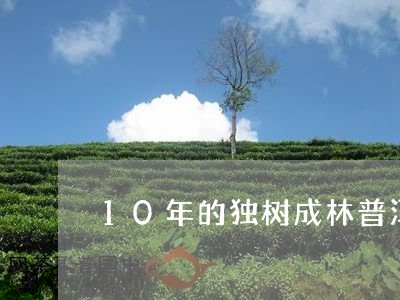 10年的独树成林普洱茶价值多少/2023060260583