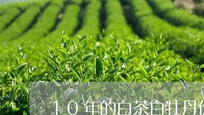 10年的白茶白牡丹价格/2023092375251