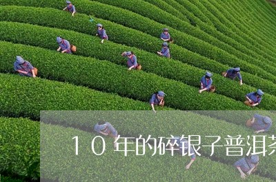 10年的碎银子普洱茶/2023062292804