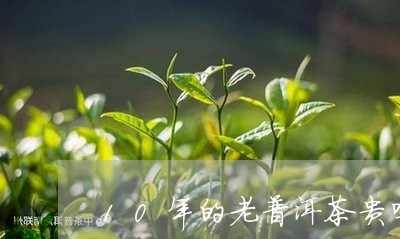 10年的老普洱茶贵吗/2023092757482