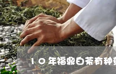 10年福鼎白茶有种药味/2023082601708