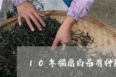 10年福鼎白茶有种药味/2023111662615