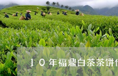 10年福鼎白茶茶饼价格/2023092206351