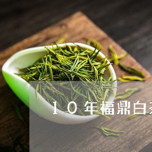 10年福鼎白茶饼保质期/2023092446148