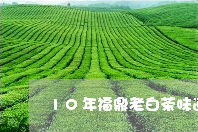 10年福鼎老白茶味道/2023120842693