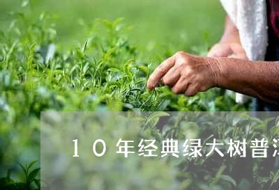 10年经典绿大树普洱茶价格表/2023110288461