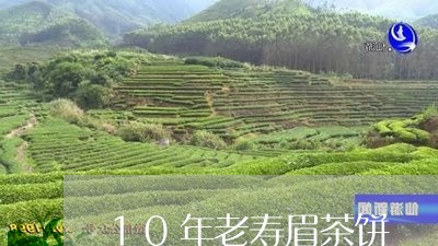 10年老寿眉茶饼/2023090828582