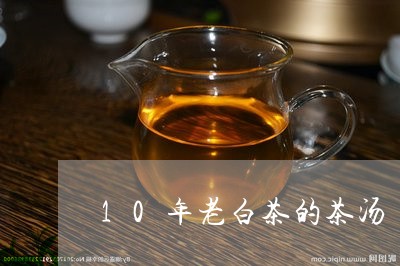 10年老白茶的茶汤/2023071461692