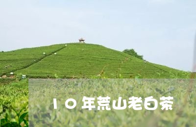 10年荒山老白茶/2023082580486