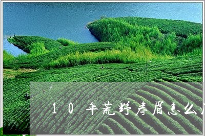 10年荒野寿眉怎么泡/2023092172505