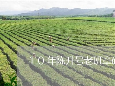 10年陈升号老班章砖/2023092405030