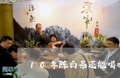 10年陈白茶还能喝吗/2023092742616