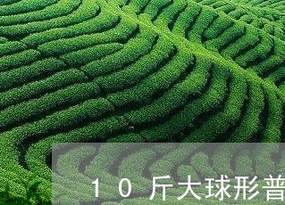 10斤大球形普洱茶多少钱/2023112580285