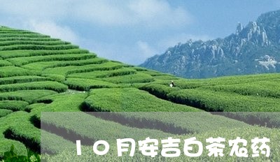 10月安吉白茶农药/2023121583613