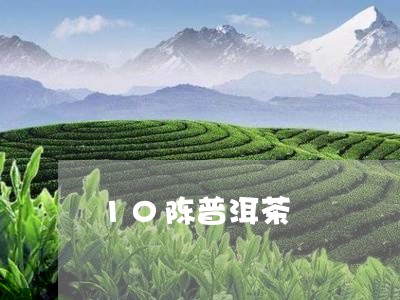 10陈普洱茶/2023042717727