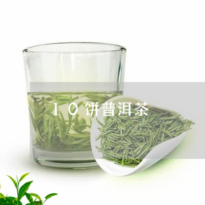 10饼普洱茶/2023042620093