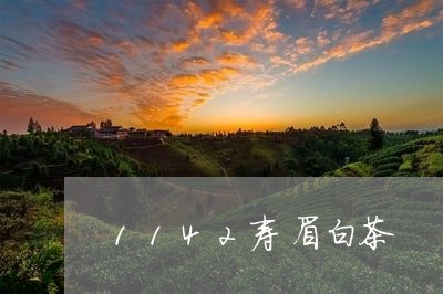 1142寿眉白茶/2023062946371