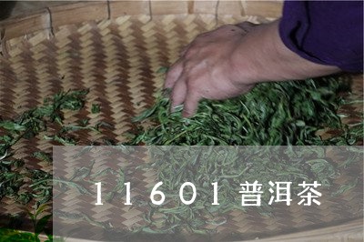 11601普洱茶/2023112448371