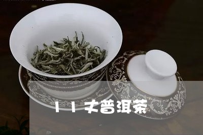 11丈普洱茶/2023042718518