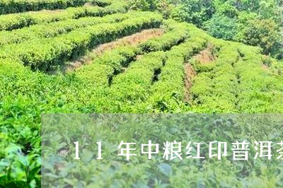 11年中粮红印普洱茶/2023072218480