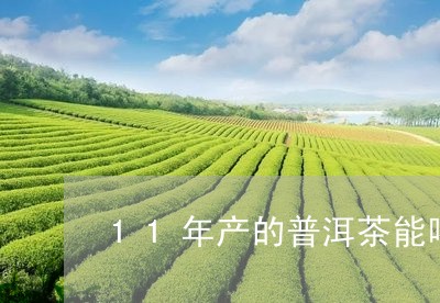 11年产的普洱茶能喝吗/2023110390724