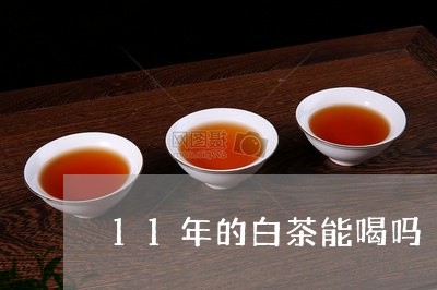 11年的白茶能喝吗/2023071414149