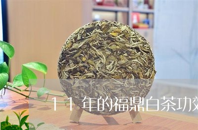 11年的福鼎白茶功效/2023120848369