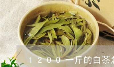 1200一斤的白茶怎么样喝的好/2023111541703