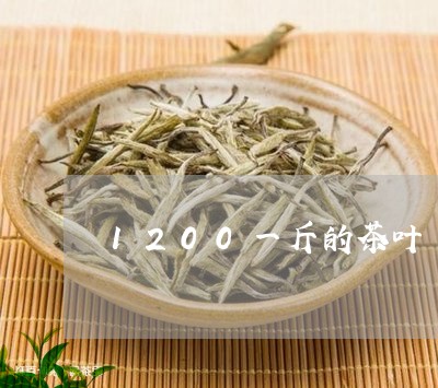 1200一斤的茶叶/2023041841705