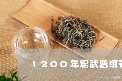 1200年易武普洱茶/2023081610796