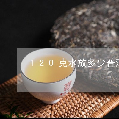 120克水放多少普洱茶/2023122010583