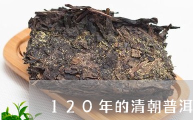 120年的清朝普洱茶价值/2023082846251