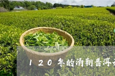 120年的清朝普洱茶价值/2023110500826