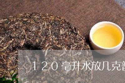 120毫升水放几克普洱茶/2023110113826