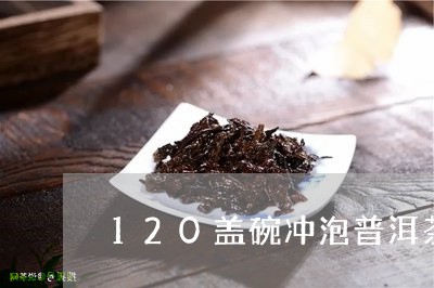 120盖碗冲泡普洱茶/2023062892725