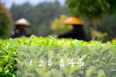 128普洱茶/2023042874448