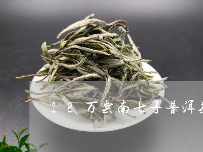 12万云南七子普洱茶/2023072440592