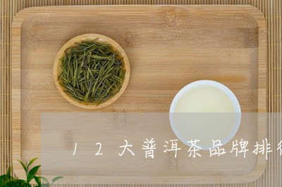 12大普洱茶品牌排行榜/2023050496168