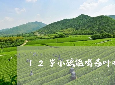 12岁小孩能喝茶叶吗/2023071626482