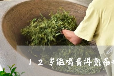 12岁能喝普洱熟茶吗/2023092429505