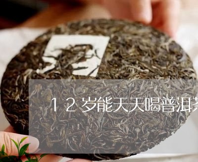 12岁能天天喝普洱茶/2023093036040